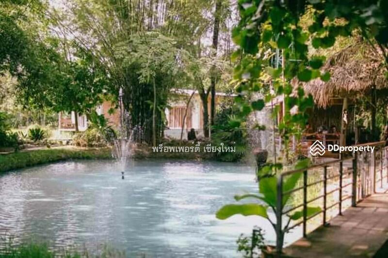 5 Villa Resort & Restaurant For Sale Or Rent In San Kamphaeng, Chiang Mai - PC-SANK002, Chiang Mai, San Kamphaeng, San Kamphaeng, Chiang Mai, , 1,000 sqm, Business For Sale, by Elijah Ridgley, 11260361 - DDproperty.com