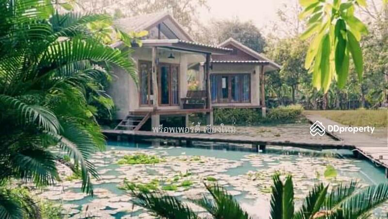 ขาย - ขายหรือเช่าวิลล่ารีสอร์ทและร้านอาหาร 5 แห่งในสันกำแพง เชียงใหม่ - PC-SANK002, เชียงใหม่