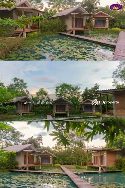 ขาย - ขายหรือเช่าวิลล่ารีสอร์ทและร้านอาหาร 5 แห่งในสันกำแพง เชียงใหม่ - PC-SANK002, เชียงใหม่