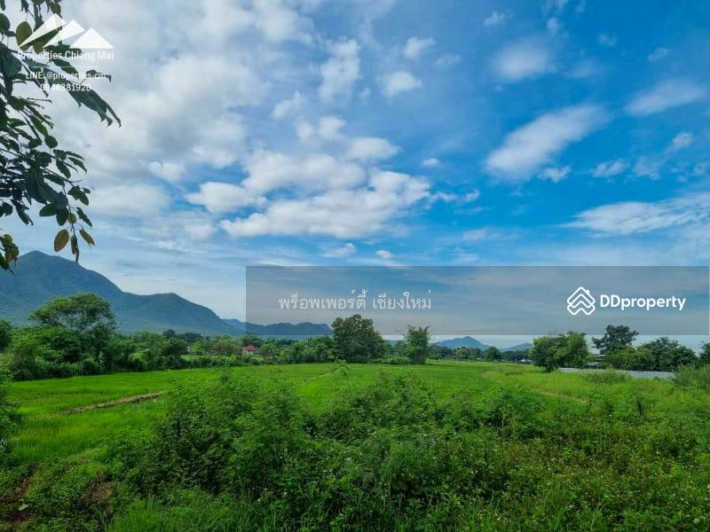 Large 52 Rai Plot Of Land With Mountain Views Ready For Development in Mae On, Chiang Mai - PC-MO002, Chiang Mai, Ban Sa Ha Khon, Mae On, Chiang Mai, , 75,200 sqm, Land For Sale, by Elijah Ridgley, 11260700 - DDproperty.com