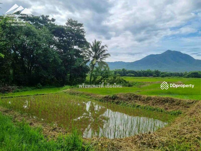 Large 52 Rai Plot Of Land With Mountain Views Ready For Development in Mae On, Chiang Mai - PC-MO002, Chiang Mai, Ban Sa Ha Khon, Mae On, Chiang Mai, , 75,200 sqm, Land For Sale, by Elijah Ridgley, 11260700 - DDproperty.com