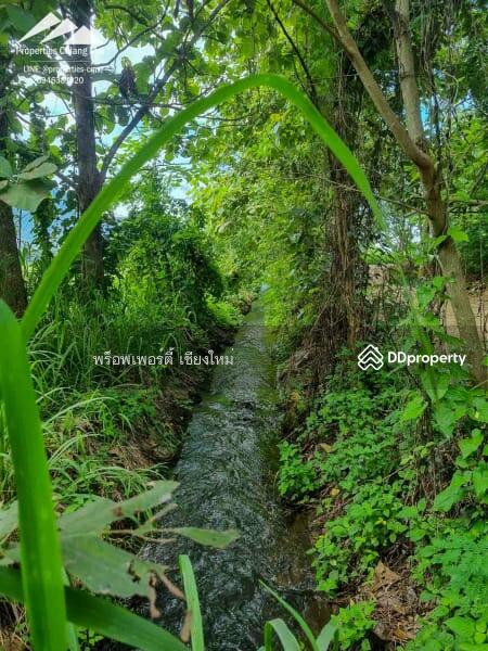 ที่ดินขนาดใหญ่ 52 ไร่พร้อมวิวภูเขาพร้อมสำหรับการพัฒน ในแม่ออน เชียงใหม่ - PC-MO002, เชียงใหม่, บ้านสหกรณ์, แม่ออน, เชียงใหม่, 75,200 ตร.ม., ที่ดิน ขาย, โดย เอลียาห์ ริดจ์ลี่ย์, 11260700 - DDproperty.com