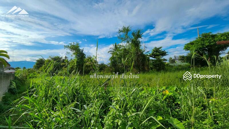 ที่ดิน 4 ไร่ + ที่ดินติดถนนซุปเปอร์ไฮเวย์ ในเมืองชัดเจน ชัดเจน - PC-MCM001-4, เชียงใหม่, ฟ้าฮ่าม, เมืองเชียงใหม่, เชียงใหม่, 7,600 ตร.ม., ที่ดิน ขาย, โดย เอลียาห์ ริดจ์ลี่ย์, 11260771 - DDproperty.com