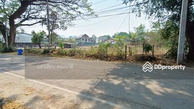 ขาย - ขายที่ดิน 233 ตร.วาอ.เมืองตากใกล้แม่น้ำปิงวัดเชียงทอง, ตาก