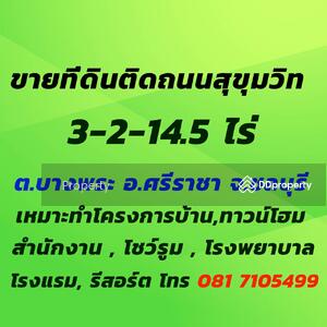 ขาย - ขายที่ดินศรีราชา ทำเลดี เดินเข้าจากถนนสุขุมวิทได้เลย เนื้อที่ 3-2-14 ไร่, ชลบุรี