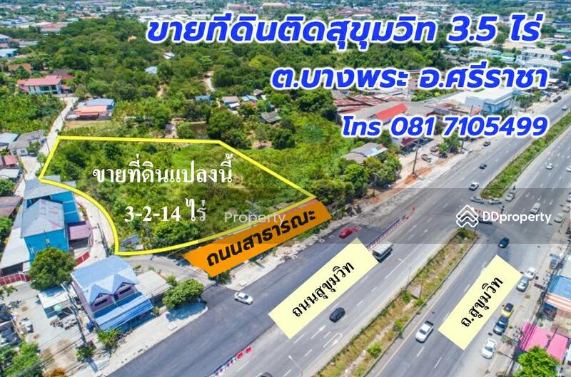 ขาย - ขายที่ดินศรีราชา ทำเลดี เดินเข้าจากถนนสุขุมวิทได้เลย เนื้อที่ 3-2-14 ไร่, ชลบุรี