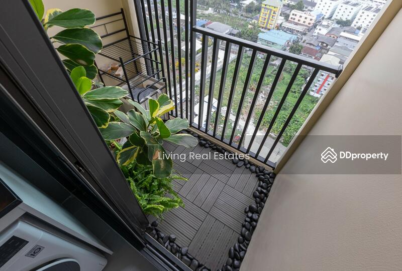 Chewathai Kaset-Nawamin : ชีวาทัย เกษตร-นวมินทร์, กรุงเทพ, ถนนประเสริฐมนูกิจ, เสนานิคม, จตุจักร, กรุงเทพ, 28 ตร.ม., คอนโด ขาย, โดย Living Real Estates, 11262541 - DDproperty.com