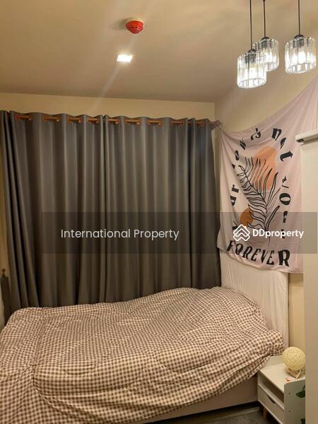 Life Sukhumvit 48 : ไลฟ์ สุขุมวิท 48, กรุงเทพ, ซอยสุขุมวิท 48, พระโขนง, คลองเตย, กรุงเทพ, 47 ตร.ม., คอนโด ให้เช่า, โดย Next Step Property, 11264223 - DDproperty.com