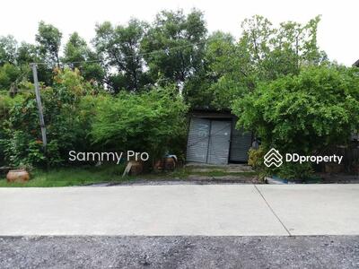 ขาย - ขายที่ดินเปล่า ต.คลองด่าน อ.บางบ่อ จ. สมุทรปราการ, สมุทรปราการ