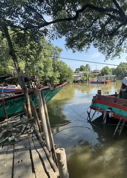For Sale - Land for sale, Khlong Dan Bang Bo Samut Prakan, Samut Prakan