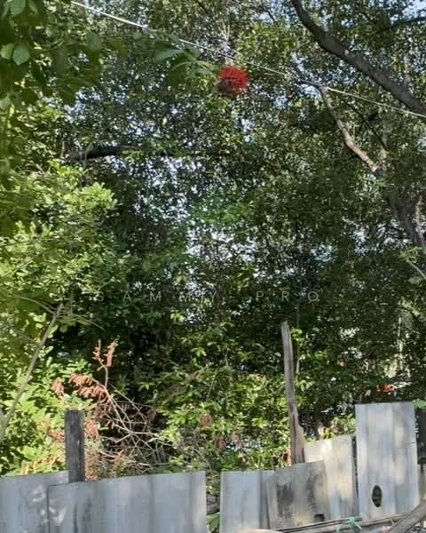 For Sale - Land for sale, Khlong Dan Bang Bo Samut Prakan, Samut Prakan