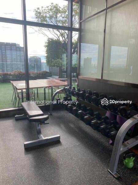 Rhythm Ekkamai, Bangkok, 11 Soi Sukhumvit 63, Khlongtoei Nua, Watthana, Bangkok, 1 Bedroom, 35 sqm, Condo For Sale, by Next Step Property, 11265275 - DDproperty.com