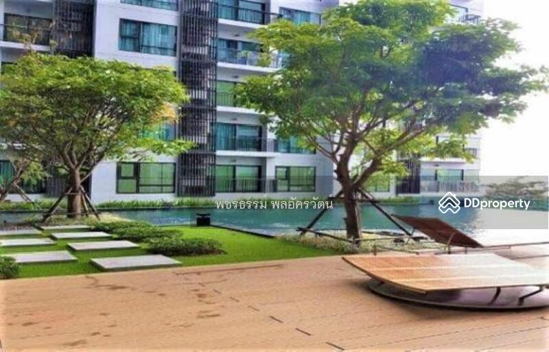 Rhythm Sukhumvit 36-38 : ริทึ่ม สุขุมวิท 36-38, กรุงเทพ, 55 ซอยสุขุมวิท 36 ถนนสุขุมวิท, พระโขนง, คลองเตย, กรุงเทพ, 25 ตร.ม., คอนโด ให้เช่า, โดย รัฐพล ศิวาโมกข์, 11265468 - DDproperty.com