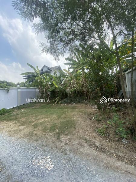 ที่ดินพระราม 5, Nonthaburi, Bang Khun Kong, Bang Kruai, Nonthaburi, , 400 sqm, Land For Sale, by Uraiwan V., 11266079 - DDproperty.com