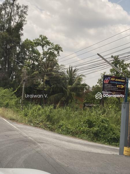 ที่ดินพระราม 5, Nonthaburi, Bang Khun Kong, Bang Kruai, Nonthaburi, , 400 sqm, Land For Sale, by Uraiwan V., 11266079 - DDproperty.com