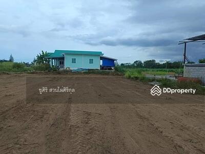 ขาย - ขายที่ดินราคาถูก, ประจวบคีรีขันธ์