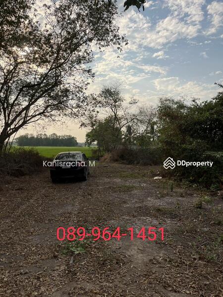 ขายที่ดิน ติดถนนลาดยาง 4 เลน ในชุมชน ปากพลี นครนายก, Nakhon Nayok, Na Hin Lat, Pak Phli, Nakhon Nayok, , 13,448 sqm, Land For Sale, by Kanisracha. M, 11268199 - DDproperty.com
