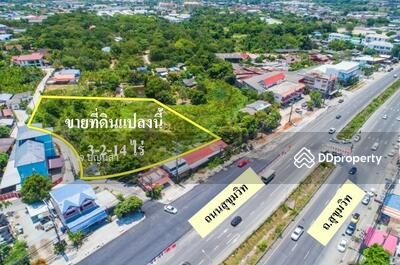 ขาย - ศรีราชา ถนนสุขุมวิทง, ชลบุรี