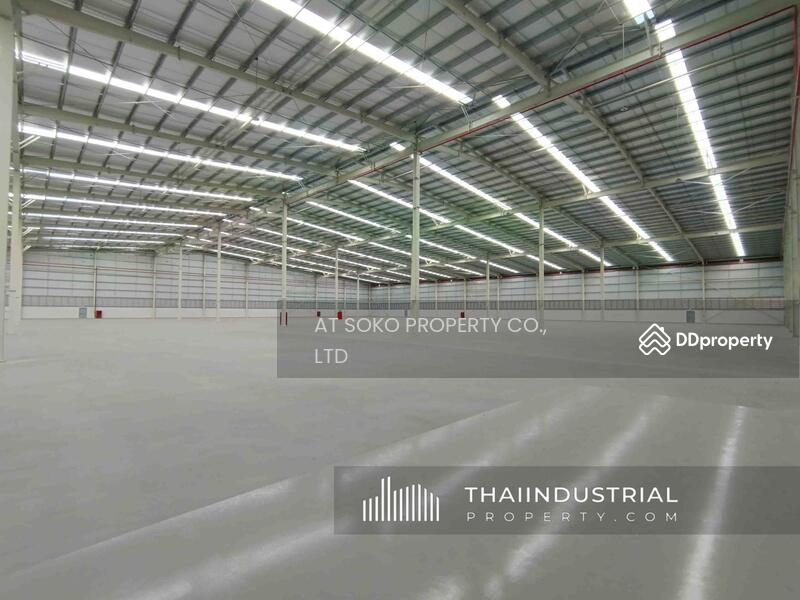 โกดังให้เช่า 9900 ตรม บึง, ศรีราชา, ชลบุรี/ 泰国仓库/工厂，出租/出售 (หมายเลขประกาศ: AT1449R), ชลบุรี, บึง, ศรีราชา, ชลบุรี, 9,900 ตร.ม., โกดัง-โรงงาน ให้เช่า, โดย AT SOKO PROPERTY CO., LTD, 11269970 - DDproperty.com