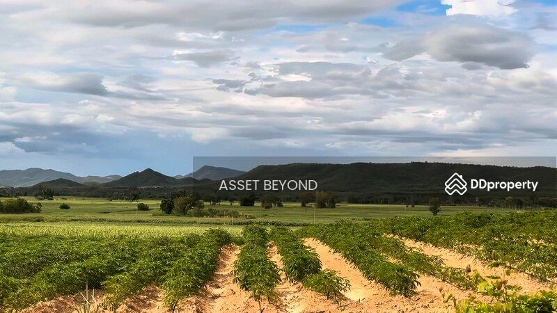 For Sale - ขาย ที่ดิน หนองปรือ กาญจนบุรี ใกล้ตัวอำเภอหนองปรือ, Kanchanaburi