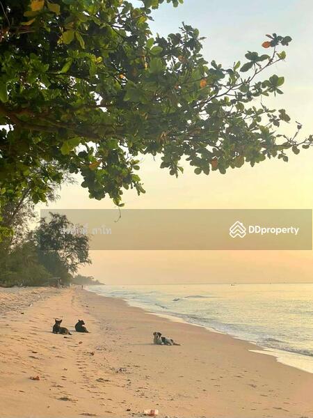 Dar's Haven Chaam Detached House swimming pool Beach front 4bedrooms 3bathrooms Sale 24million Baht, Phetchaburi, เพชรเกษม, Bang Kao, Cha-Am, Phetchaburi, 4 Bedrooms, 310 sqm, Single Detached House For Sale, by Surasak Satho, 11271587 - DDproperty.com
