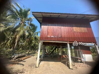 ขาย - 86734 - ขายที่ดินพร้อมบ้าน มีสวนมะพร้าวน้ำหอม ใกล้ตลาดน้ำอัมพวา, สมุทรสงคราม