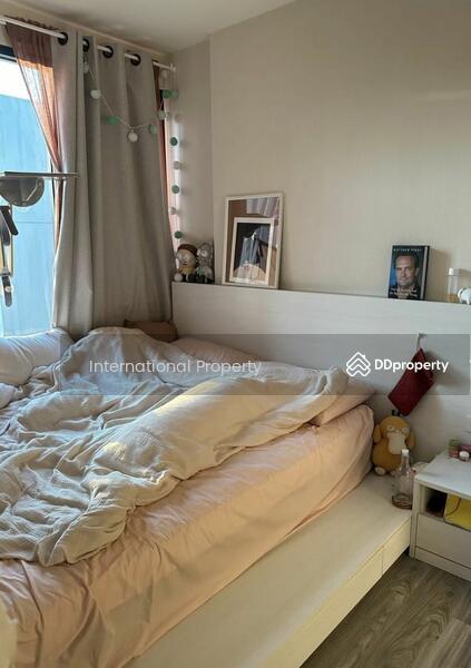 IKON Sukhumvit 77 : ไอคอน สุขุมวิท 77, กรุงเทพ, 182 ถนนสุขุมวิท 77, สวนหลวง, สวนหลวง, กรุงเทพ, 29 ตร.ม., คอนโด ให้เช่า, โดย Next Step Property, 11272156 - DDproperty.com