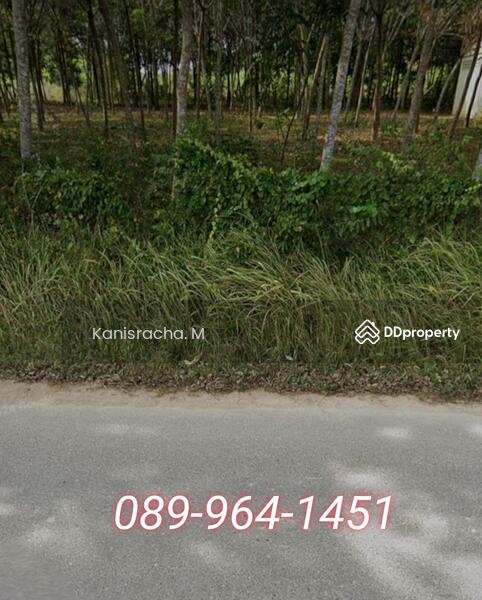 ขายที่ดินสวย ติดถนน ตรงข้ามหมู่บ้านจัดสรร ควนลัง หาดใหญ่ สงขลา, Songkhla, Khuan Lang, Hat Yai, Songkhla, , 33,600 sqm, Land For Sale, by Kanisracha. M, 11272423 - DDproperty.com