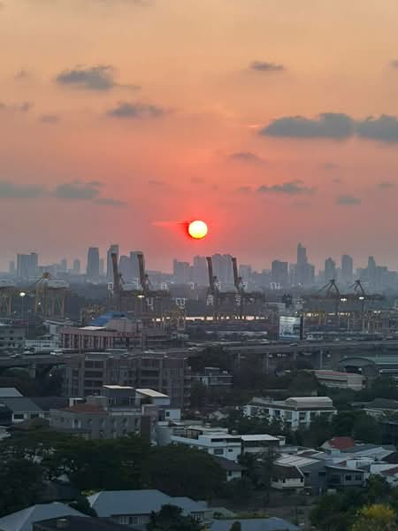 Life Sukhumvit 62, Bangkok, Soi Sukhumvit 62, Bang Chak, Phra Khanong, Bangkok, 1 Bedroom, 39 sqm, Condo For Rent, by Ulaiwan Boonsiri, 11273097 - DDproperty.com