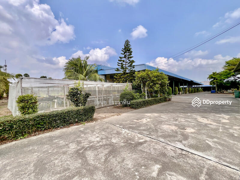 For Sale - Land and Warehouse in Panasnikom Chonburi, Chon Buri