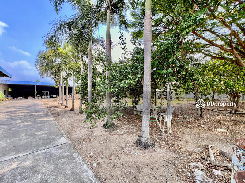 For Sale - Land and Warehouse in Panasnikom Chonburi, Chon Buri