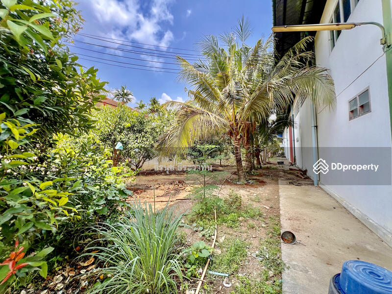 For Sale - Land and Warehouse in Panasnikom Chonburi, Chon Buri