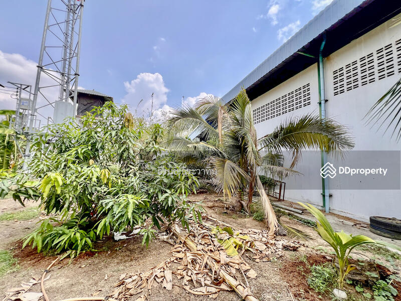 For Sale - Land and Warehouse in Panasnikom Chonburi, Chon Buri