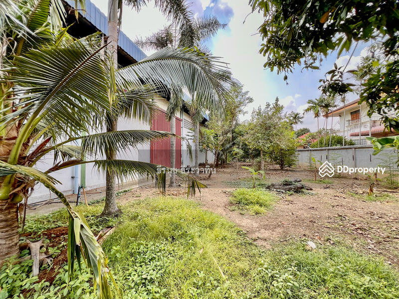 For Sale - Land and Warehouse in Panasnikom Chonburi, Chon Buri