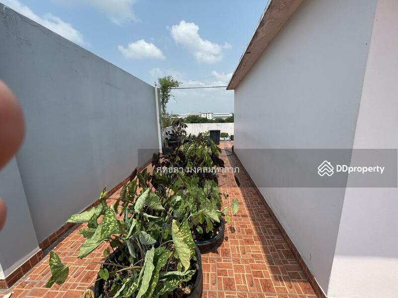 For Sale - ขายอาคารพาณิชย์ 5 ชั้น 27 ตารางวา ท่าข้ามซ.7 แขวงแสมดำ เขตบางขุนเทียน กรุงเทพ, Bangkok