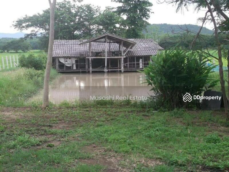 For Sale - แปลงบ่อปลา, Phayao