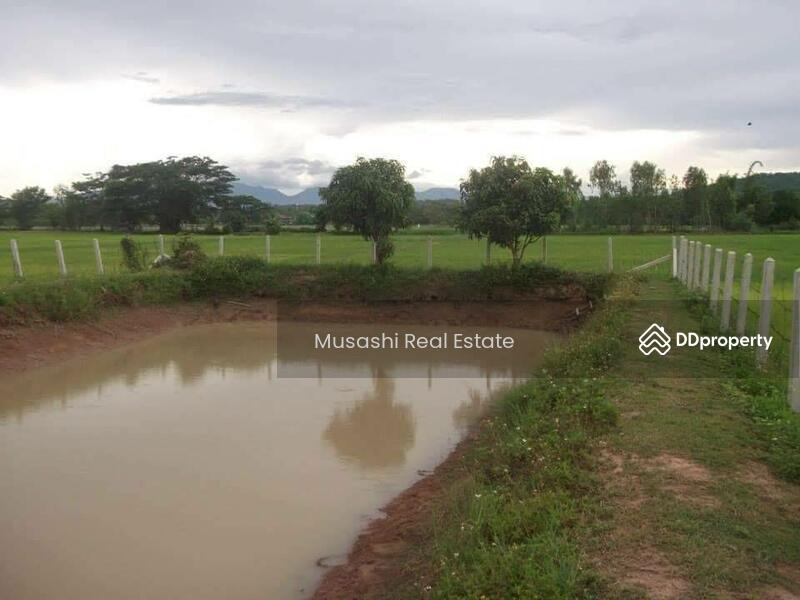 For Sale - แปลงบ่อปลา, Phayao