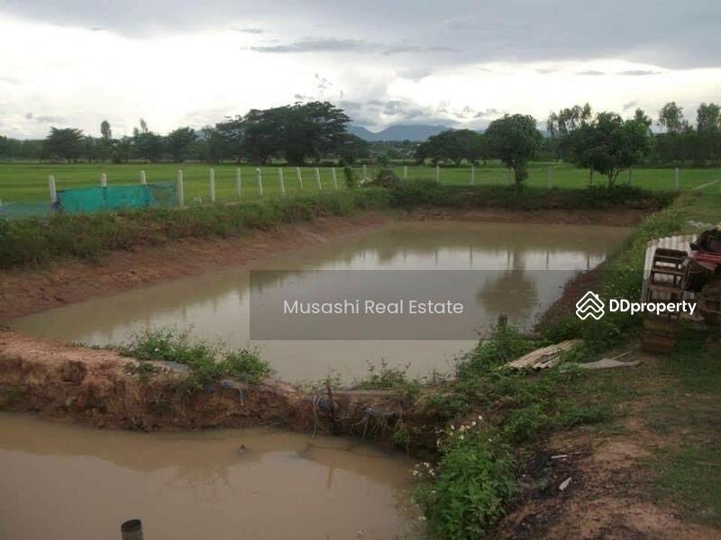 For Sale - แปลงบ่อปลา, Phayao