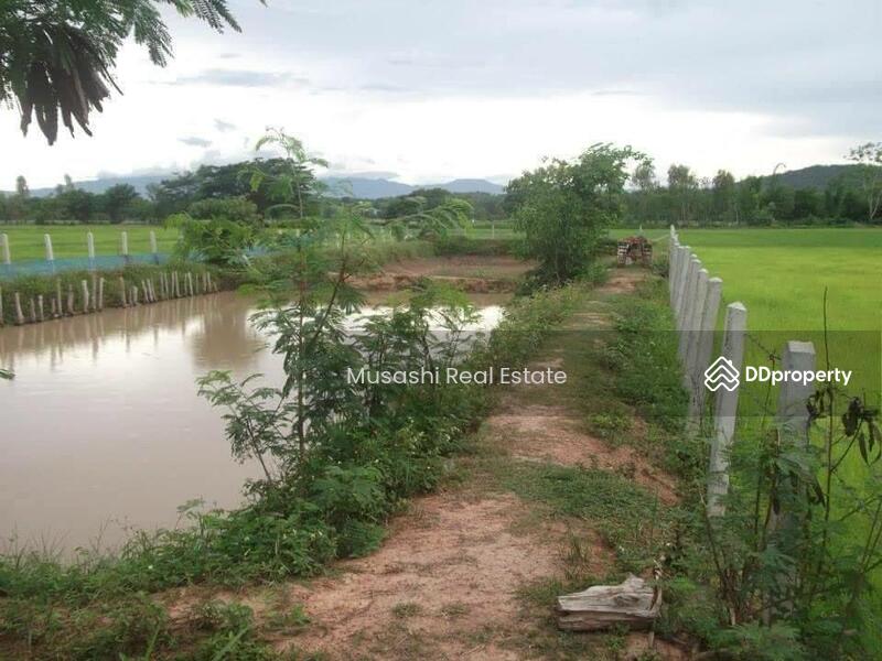 For Sale - แปลงบ่อปลา, Phayao