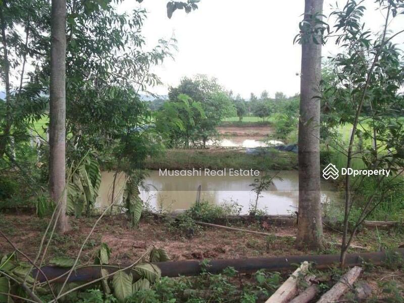For Sale - แปลงบ่อปลา, Phayao