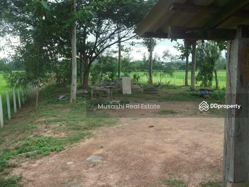 For Sale - แปลงบ่อปลา, Phayao