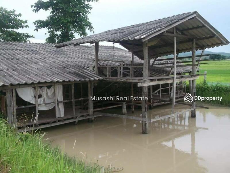 For Sale - แปลงบ่อปลา, Phayao