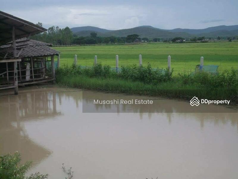 For Sale - แปลงบ่อปลา, Phayao