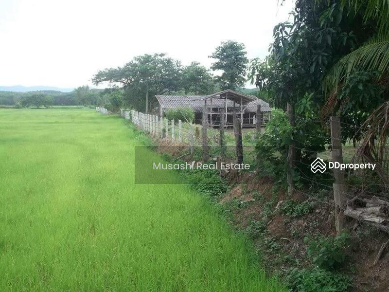 For Sale - แปลงบ่อปลา, Phayao