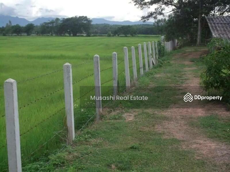 For Sale - แปลงบ่อปลา, Phayao
