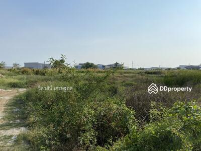 ขาย - ที่ดิน 8 ไร่ บางนา กม.23 สีม่วง ซอยวัดบัวโรย, สมุทรปราการ