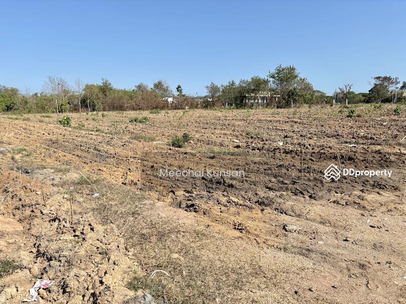 For Sale - ที่ดินนาจอมเทียนซอย13พัทยา, Chon Buri (Pattaya)