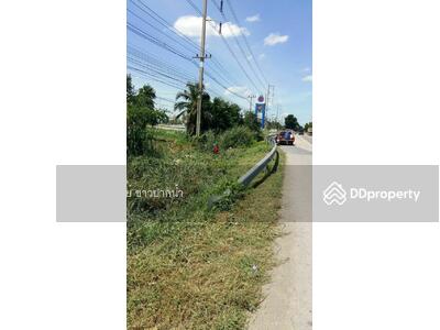 ขาย - ที่ดินติดปั้มน้ำมัน ปตท.หน้ากว้างติดถนนประมาณ 125 เมตร ต.ระแหง อ.ลาดหลุมแก้ว จ.ปทุมธานี, ปทุมธานี