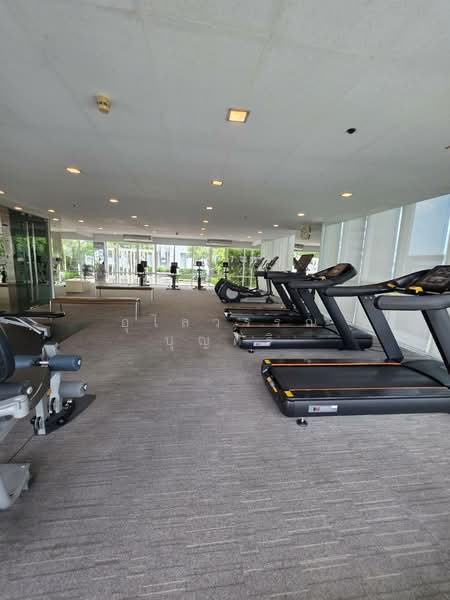 IDEO Verve Sukhumvit, Bangkok, 2077 Sukhumvit Road, Phra Kanong Nua, Watthana, Bangkok, 2 Bedrooms, 45 sqm, Condo For Rent, by Ulaiwan Boonsiri, 11282823 - DDproperty.com