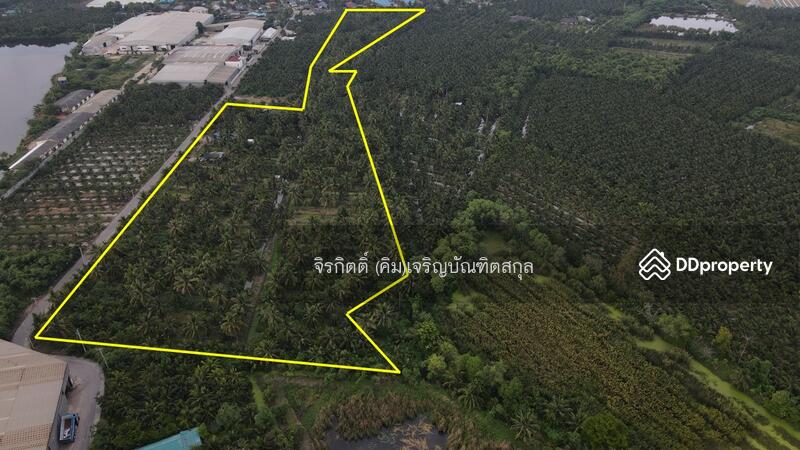 ขาย - ที่ดินสวนมะพร้าว บ้านแพ้ว สมุทรสาคร, สมุทรสาคร